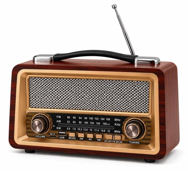 GOLD SİLVER GS-1340 USB RADYO