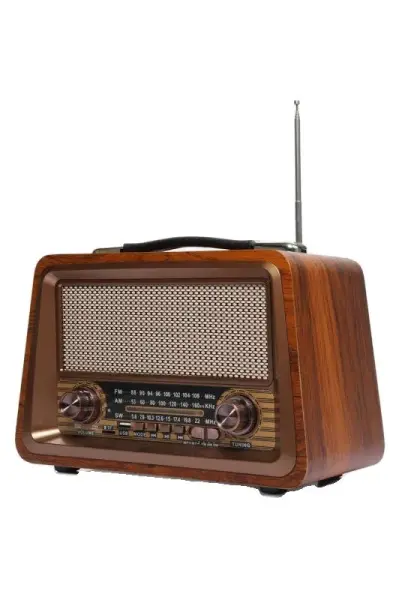 GOLD SİLVER GS-1340 USB RADYO