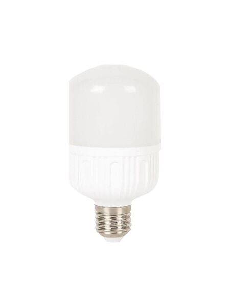 ERM 12V 30W TOURCH LED AMPUL